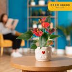 Indoor Anthurium Plant in White Ceramic Planter
