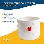 Indoor Anthurium Plant in White Ceramic Planter