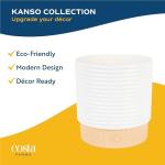 ZZ Plant in Modern Planter - Indoor Air Purifier