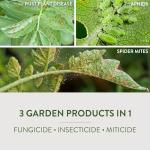 Neem Oil Fungicide for Flowers and Vegetables