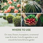 Neem Oil Fungicide for Flowers and Vegetables