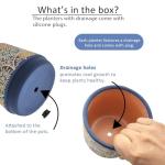 DeeCoo Set of 3 Decorative Ceramic Planters