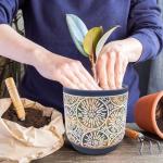 DeeCoo Set of 3 Decorative Ceramic Planters