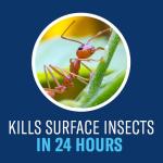 BioAdvanced Complete Insect Killer for Lawns, 40 oz