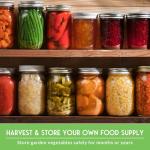 Survival Garden - Heirloom Vegetable Seed Collection