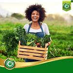 Urea Fertilizer 46-0-0 Made in USA - 5LB Plant Food for Indoor/Outdoor Flowers & Gardens - Promotes Lush Growth - Lettuce, Green Lawns, Fruit, Vegetables, Citrus Trees, Tie Dye Granules Prills