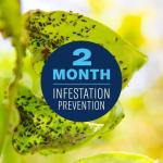 Bayer Insect Control for Fruits and Vegetables 32 oz