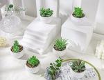 Der Rose Set of 6 Succulents Plants Artificial in Pots Small Fake Plants for Bedroom Aesthetic Living Room Shelf Bathroom Decor Office Desk Accessories