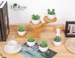 Der Rose Set of 6 Succulents Plants Artificial in Pots Small Fake Plants for Bedroom Aesthetic Living Room Shelf Bathroom Decor Office Desk Accessories