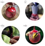 Backyard Expressions 3-Pack Metal Mesh Bird Feeders for Outdoors – Red, Blue & Yellow Squirrel-Resistant Hanging Feeders for Cardinals, Finches & Songbirds – Durable All-Weather Design