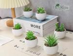 Der Rose Set of 6 Succulents Plants Artificial in Pots Small Fake Plants for Bedroom Aesthetic Living Room Shelf Bathroom Decor Office Desk Accessories