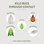 Garden Safe 32 oz. Ready-to-Use Insecticidal Soap