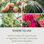 Garden Safe 32 oz. Ready-to-Use Insecticidal Soap