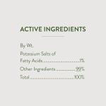 Garden Safe 32 oz. Ready-to-Use Insecticidal Soap