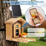 Bamboo Smart Bird Feeder with 4K Camera, AI Bird Identification 10000+ Species, Solar Powered & USB-C Charging, IP65 Weatherproof, 1.25L Speed Capacity for Outdoor Garden (Wall Mount/Pole) (Large)