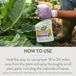 Garden Safe Insect Killer for Houseplants and Gardens