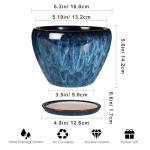 Modern Ceramic Succulent Planter Pot with Saucer