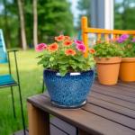 Modern Ceramic Succulent Planter Pot with Saucer