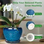 Modern Ceramic Succulent Planter Pot with Saucer