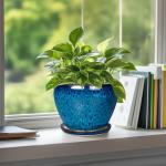 Modern Ceramic Succulent Planter Pot with Saucer