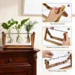 RENMXJ Plant Propagation Station with 3 Bulb Vases