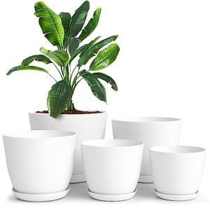 Modern Indoor Plastic Flower Pots - Set of 5