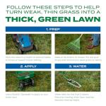 Scotts Turf Builder Lawn Grass Seed & Fertilizer