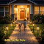 Solar Pathway Lights 8 Pack – Waterproof LED Garden Lights