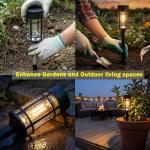 Solar Pathway Lights 8 Pack – Waterproof LED Garden Lights