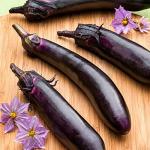 Bonnie Plants Ichiban Type Japanese Eggplant - 4 Pack Live Plants, Great in Containers, 10in. Long Fruit, Perfect for Grilling & Roasting, Green