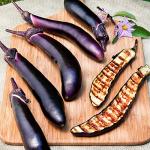 Bonnie Plants Ichiban Type Japanese Eggplant - 4 Pack Live Plants, Great in Containers, 10in. Long Fruit, Perfect for Grilling & Roasting, Green