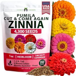 HOME GROWN Dwarf Zinnia Seeds Mix - 4300 Pumila Zinnia Seeds for 2026 | Zinnia Flower Seeds for Planting Outdoors | Colorful Cut Annual Flowers for Summer Gardens & Containers (Zinnia elegans)
