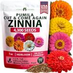 HOME GROWN Dwarf Zinnia Seeds Mix - 4300 Pumila Zinnia Seeds for 2026 | Zinnia Flower Seeds for Planting Outdoors | Colorful Cut Annual Flowers for Summer Gardens & Containers (Zinnia elegans)