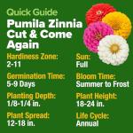 HOME GROWN Dwarf Zinnia Seeds Mix - 4300 Pumila Zinnia Seeds for 2026 | Zinnia Flower Seeds for Planting Outdoors | Colorful Cut Annual Flowers for Summer Gardens & Containers (Zinnia elegans)