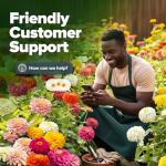 HOME GROWN Dwarf Zinnia Seeds Mix - 4300 Pumila Zinnia Seeds for 2026 | Zinnia Flower Seeds for Planting Outdoors | Colorful Cut Annual Flowers for Summer Gardens & Containers (Zinnia elegans)