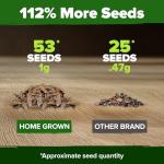 HOME GROWN 53 White Lilac Flower Seeds Non-GMO, Heirloom Tree Seeds for Planting, Fragrant Flowering Tree Seeds for Landscaping, Pollinator Gardens, and Ornamental Borders (Syringa reticulata)