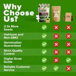 10 Variety Culinary Herb Seeds for Your Garden