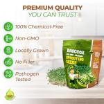 Calabrese Broccoli Sprouting Seeds - Non-GMO 1 lb