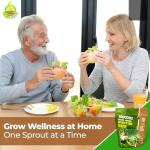 Calabrese Broccoli Sprouting Seeds - Non-GMO 1 lb