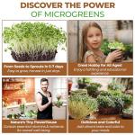 Calabrese Broccoli Sprouting Seeds - Non-GMO 1 lb