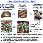 ShopLaLa Wall Planter - 2 Pack Wooden Hanging Succulent Wall Decor, Live Air Plants Orchids Wall Mounted Holder Frame Display for Indoor Outdoor, Living Plant Wall Decor Balcony Garden