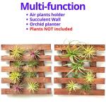 ShopLaLa Wall Planter - 2 Pack Wooden Hanging Succulent Wall Decor, Live Air Plants Orchids Wall Mounted Holder Frame Display for Indoor Outdoor, Living Plant Wall Decor Balcony Garden