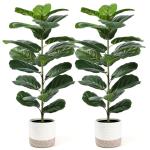Der Rose 2 Pack 30" Artificial Fiddle Leaf Fig Tree with Warm LED Lights – Battery Powered, Mid-Size Fake Plants for Living Room, Bedroom, Entryway & Home Decor