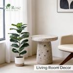 Der Rose 2 Pack 30" Artificial Fiddle Leaf Fig Tree with Warm LED Lights – Battery Powered, Mid-Size Fake Plants for Living Room, Bedroom, Entryway & Home Decor