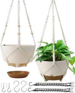 Self-Watering Hanging Planters - 10 Inch, 2 Pack