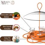 Nature's Way OFP1 All-in-One Oriole Buffet Bird Feeder, Orange