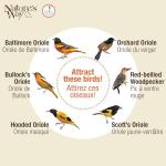Nature's Way OFP1 All-in-One Oriole Buffet Bird Feeder, Orange
