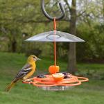 Nature's Way OFP1 All-in-One Oriole Buffet Bird Feeder, Orange