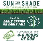 Pennington Smart Seed Sun and Shade Tall Fescue Grass Seed Mix for Southern Lawns 7 lb