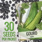 Seed Needs Luffa Seeds for Planting Loofah Sponge Gourds - Non-GMO Heirloom & Untreated Veggie Seed to Plant a Home Grown Outdoor Vegetable Garden (1 Pack)